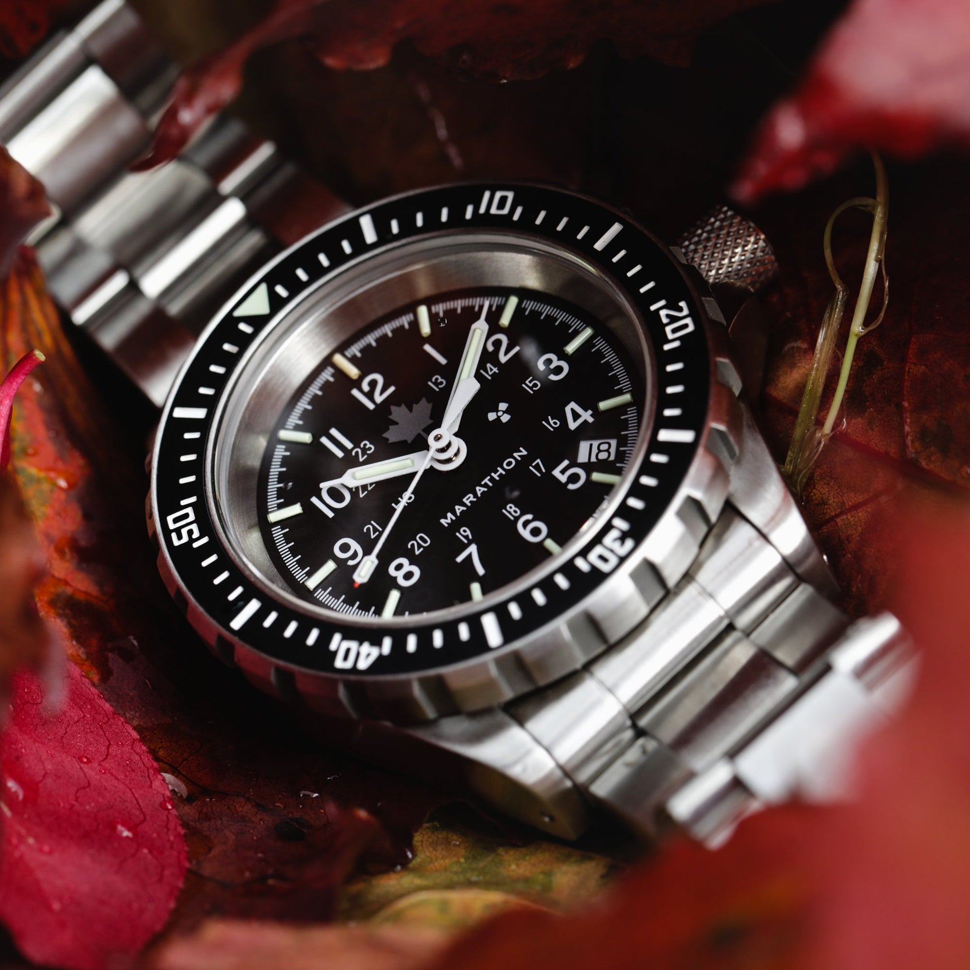 41mm Grey Maple Large Diver's Automatic (GSAR) with Stainless Steel Bracelet