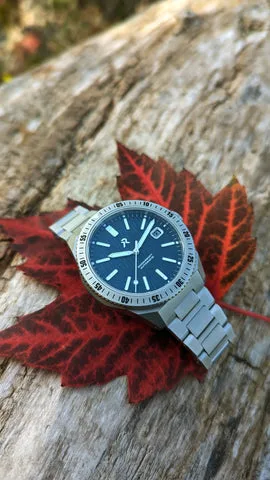 RZE - Endeavor Blaueis